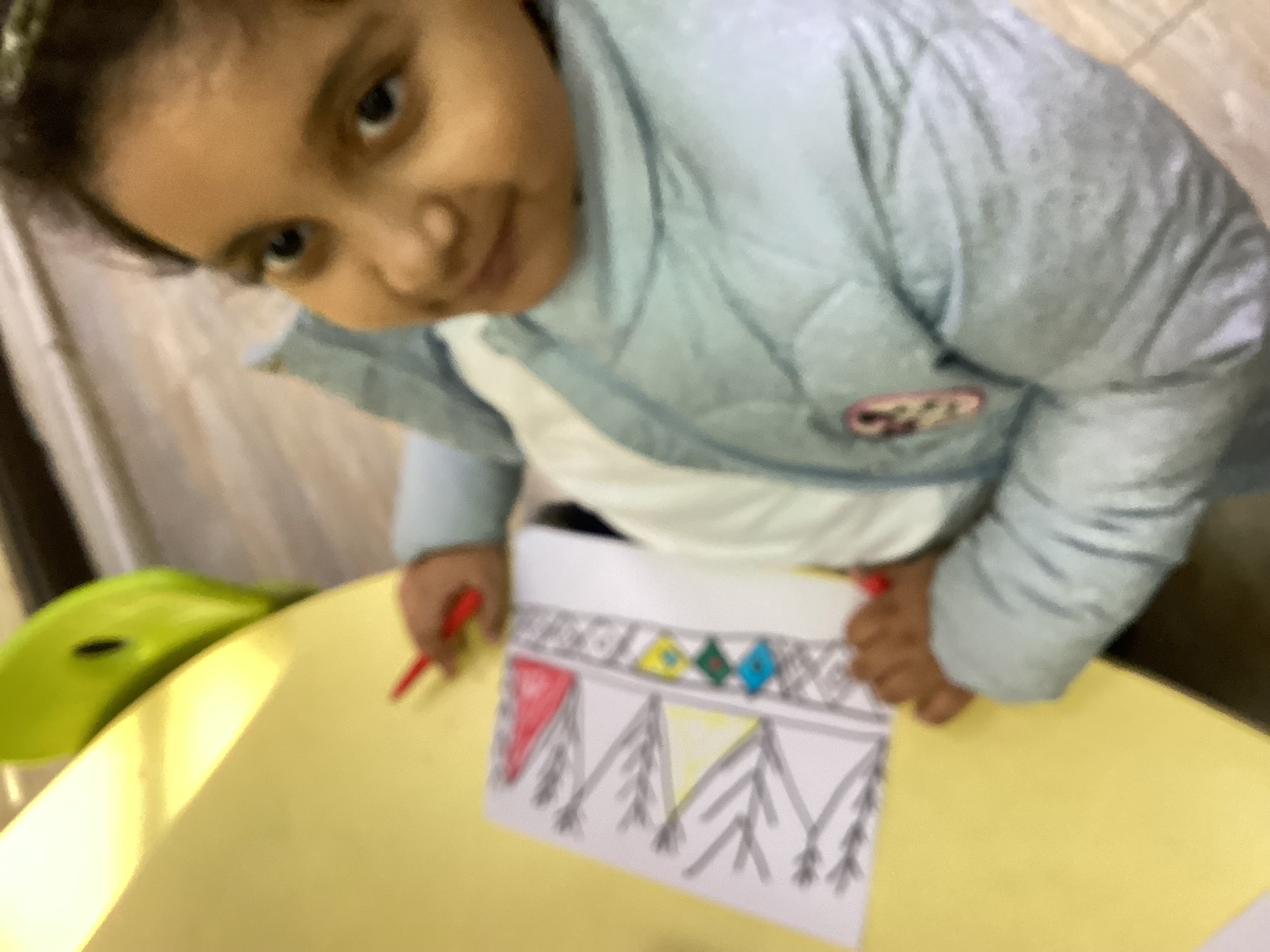 القط العسيري